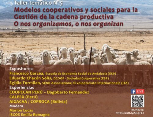 SEND is partner of the training project “Organisational chains between camelid breeders (Peru and Bolivia)
